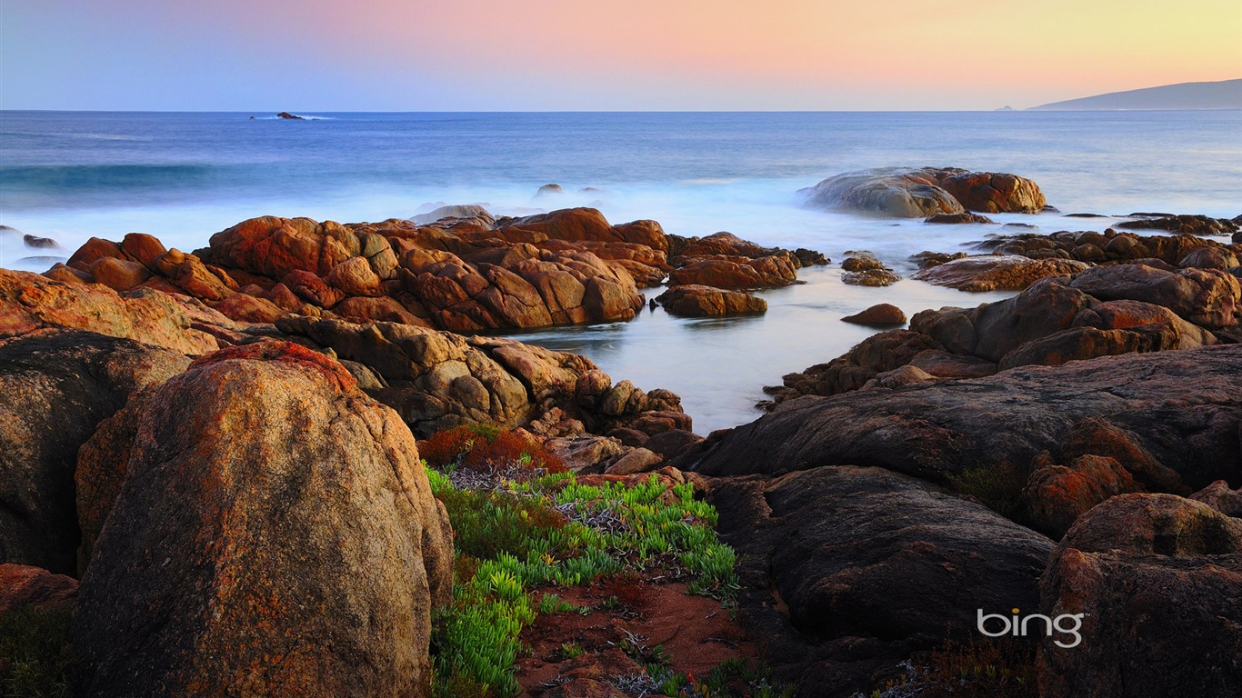 Microsoft Bing thème fonds d'écran HD, l'Australie, ville, paysage, animaux #7 - 1366x768