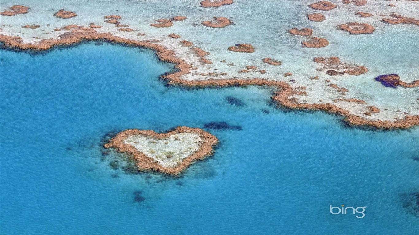 微软Bing 必应主题高清壁纸，澳大利亚，城市景观12 - 1366x768