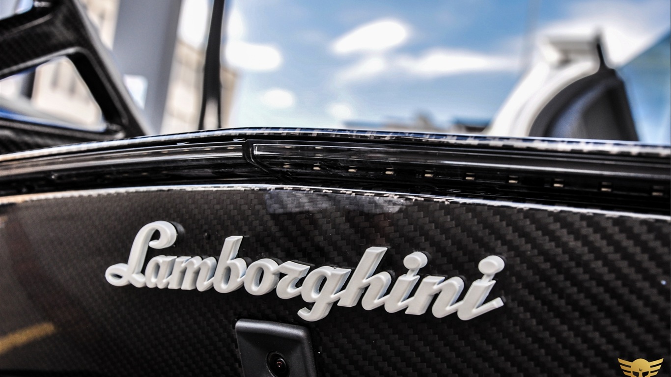 2013 Lamborghini Aventador LP900 SV Limited Edition 蘭博基尼 限量版高清壁紙 #17 - 1366x768