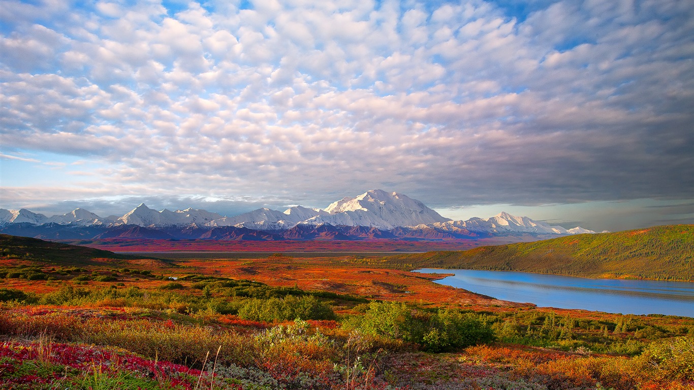Denali National Park HD Tapety #1 - 1366x768