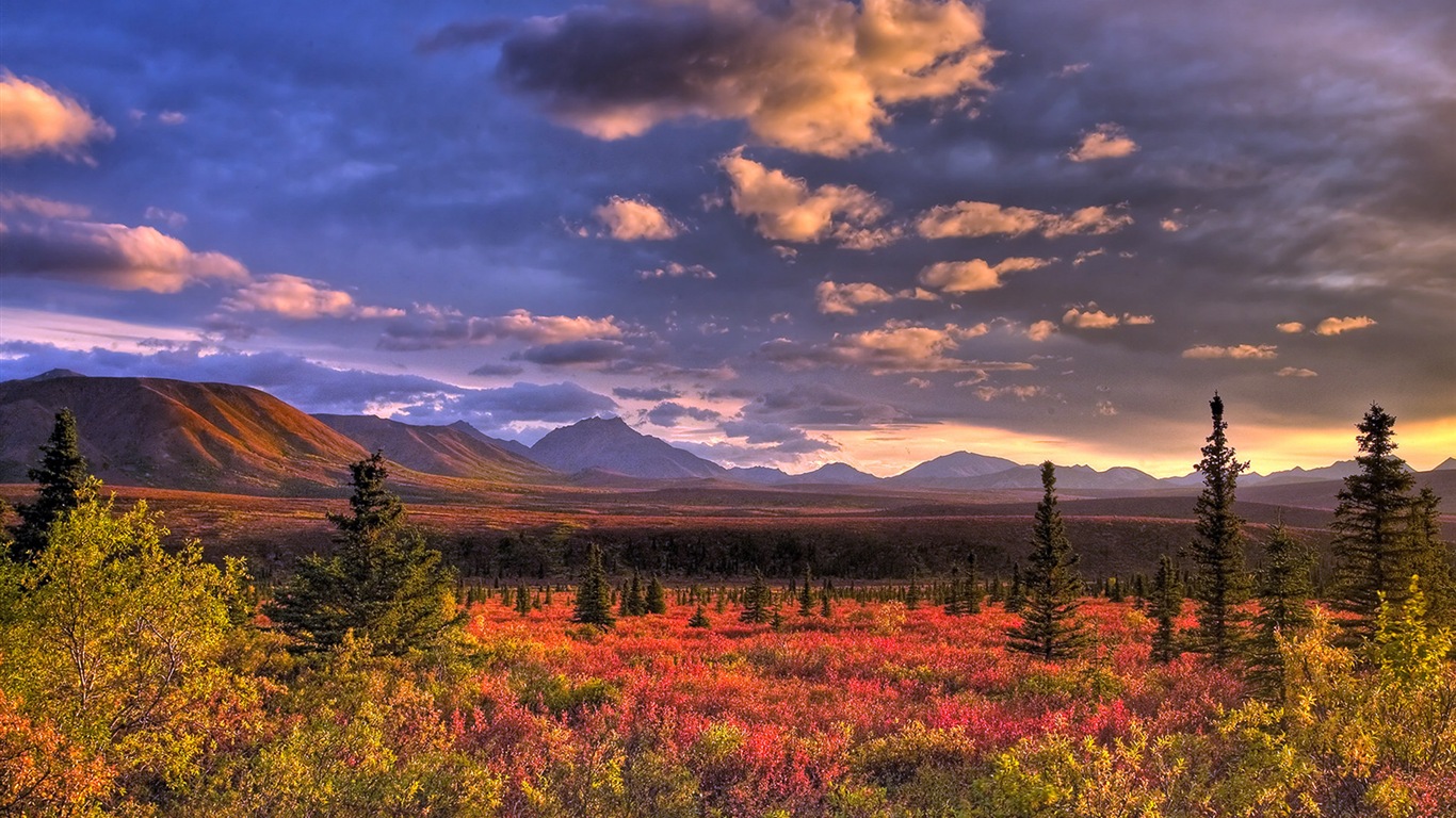 Parque Nacional Denali HD fondos de pantalla paisaje #6 - 1366x768