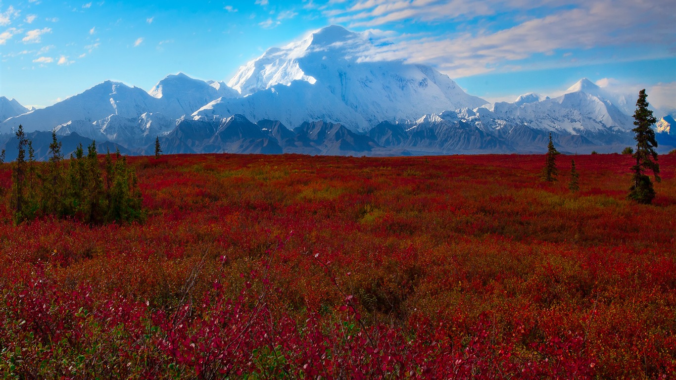 Denali National Park 迪納利國家公園 高清風景壁紙 #7 - 1366x768