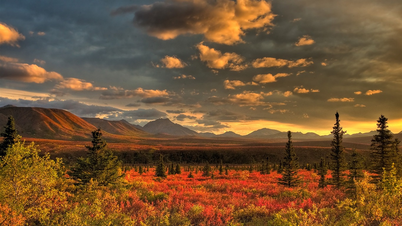 Denali National Park 迪納利國家公園 高清風景壁紙 #8 - 1366x768