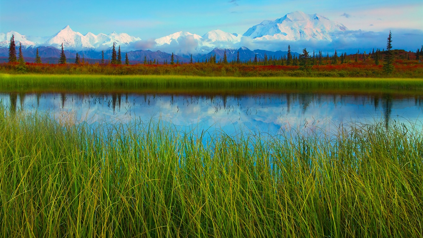 Denali National Park 迪納利國家公園 高清風景壁紙 #11 - 1366x768