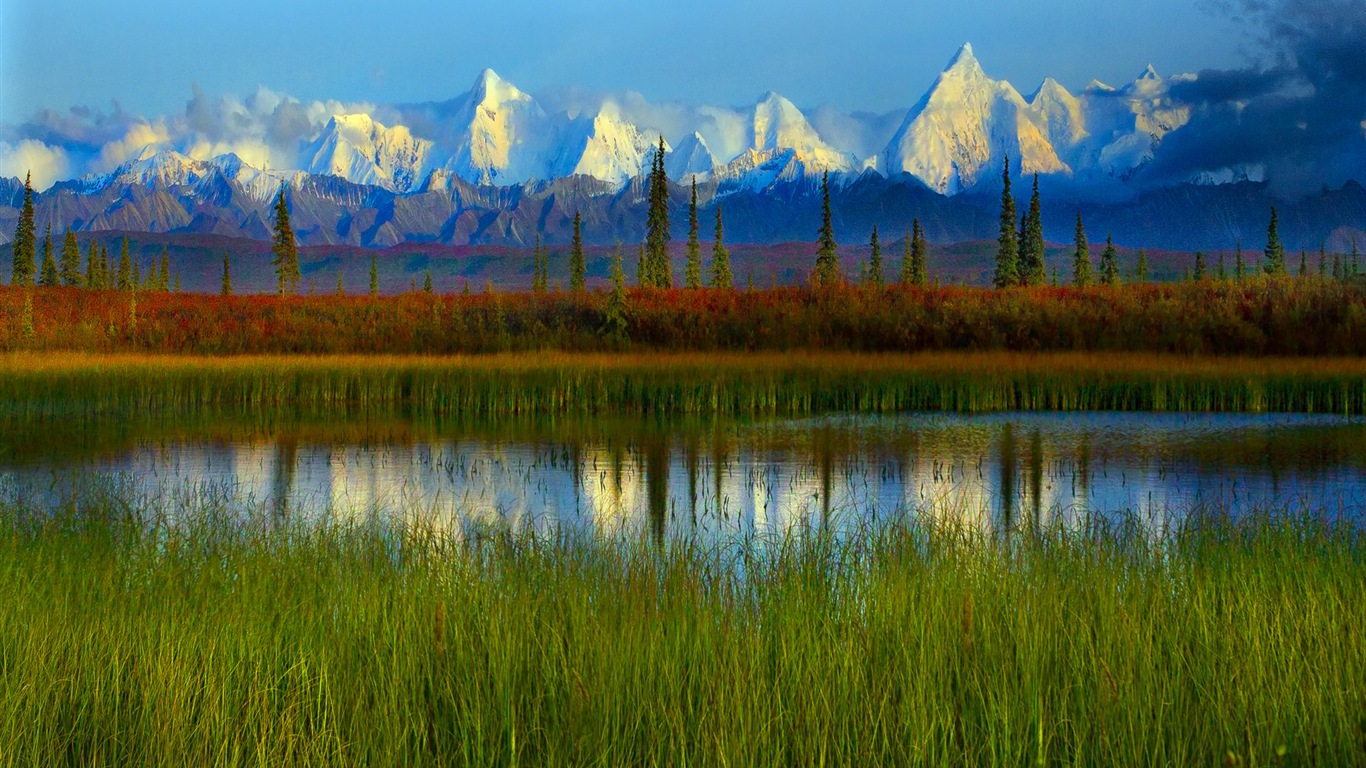 Parque Nacional Denali HD fondos de pantalla paisaje #14 - 1366x768