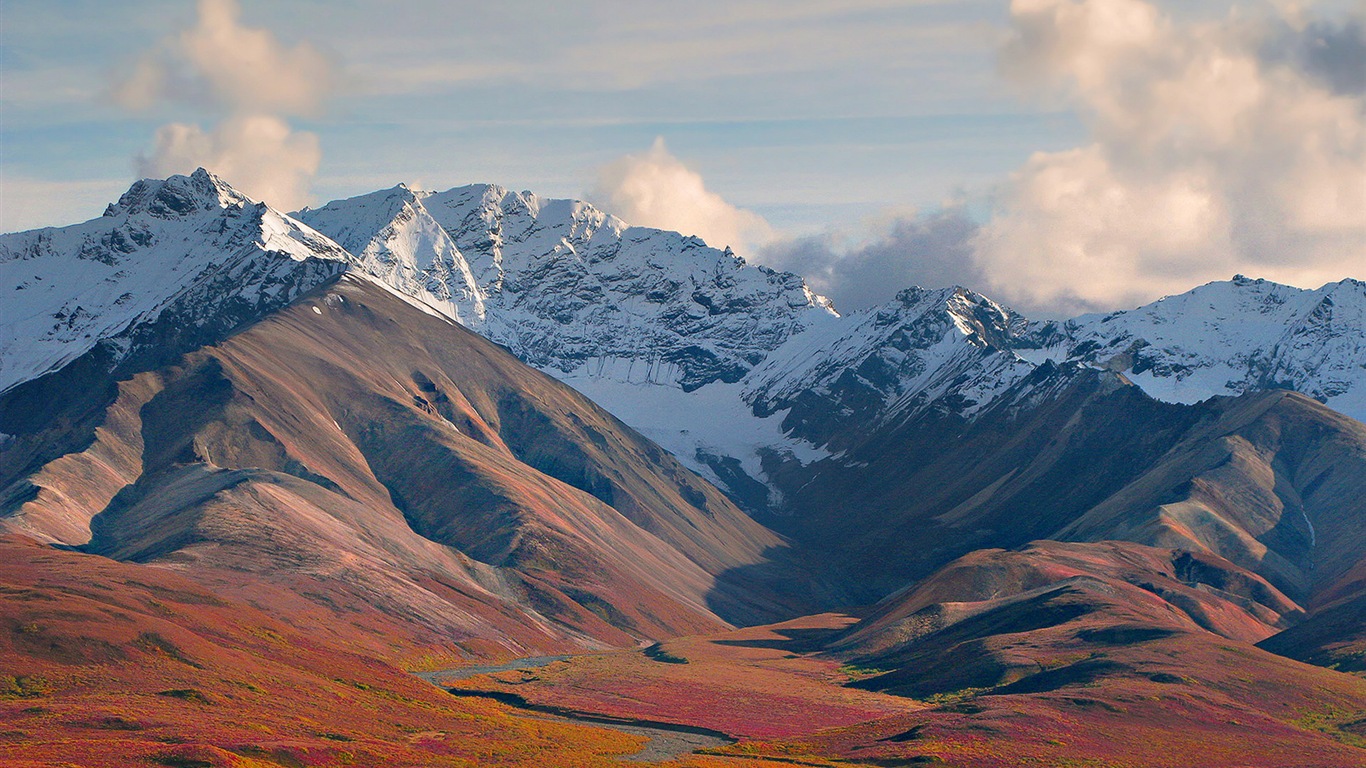 Denali National Park 迪納利國家公園 高清風景壁紙 #15 - 1366x768
