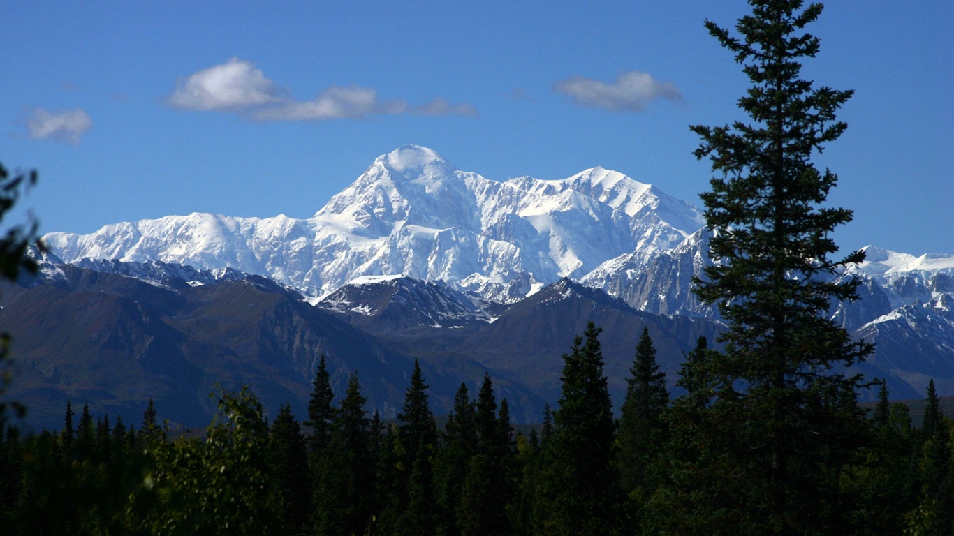 Denali National Park 迪納利國家公園 高清風景壁紙 #17 - 1366x768