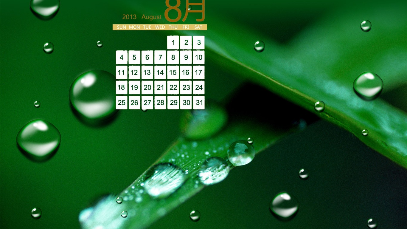 2013年8月 月历壁纸(一)14 - 1366x768