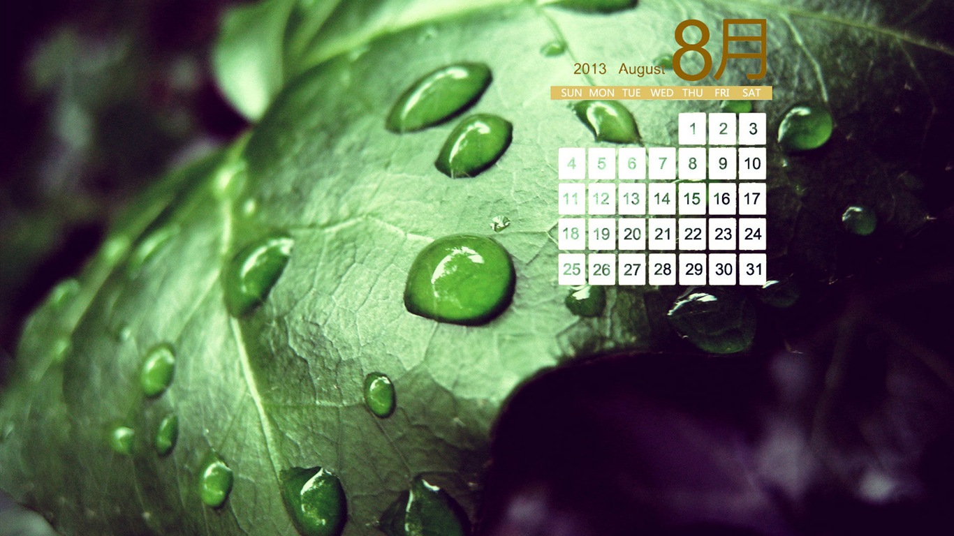 August 2013 calendar wallpaper (1) #16 - 1366x768