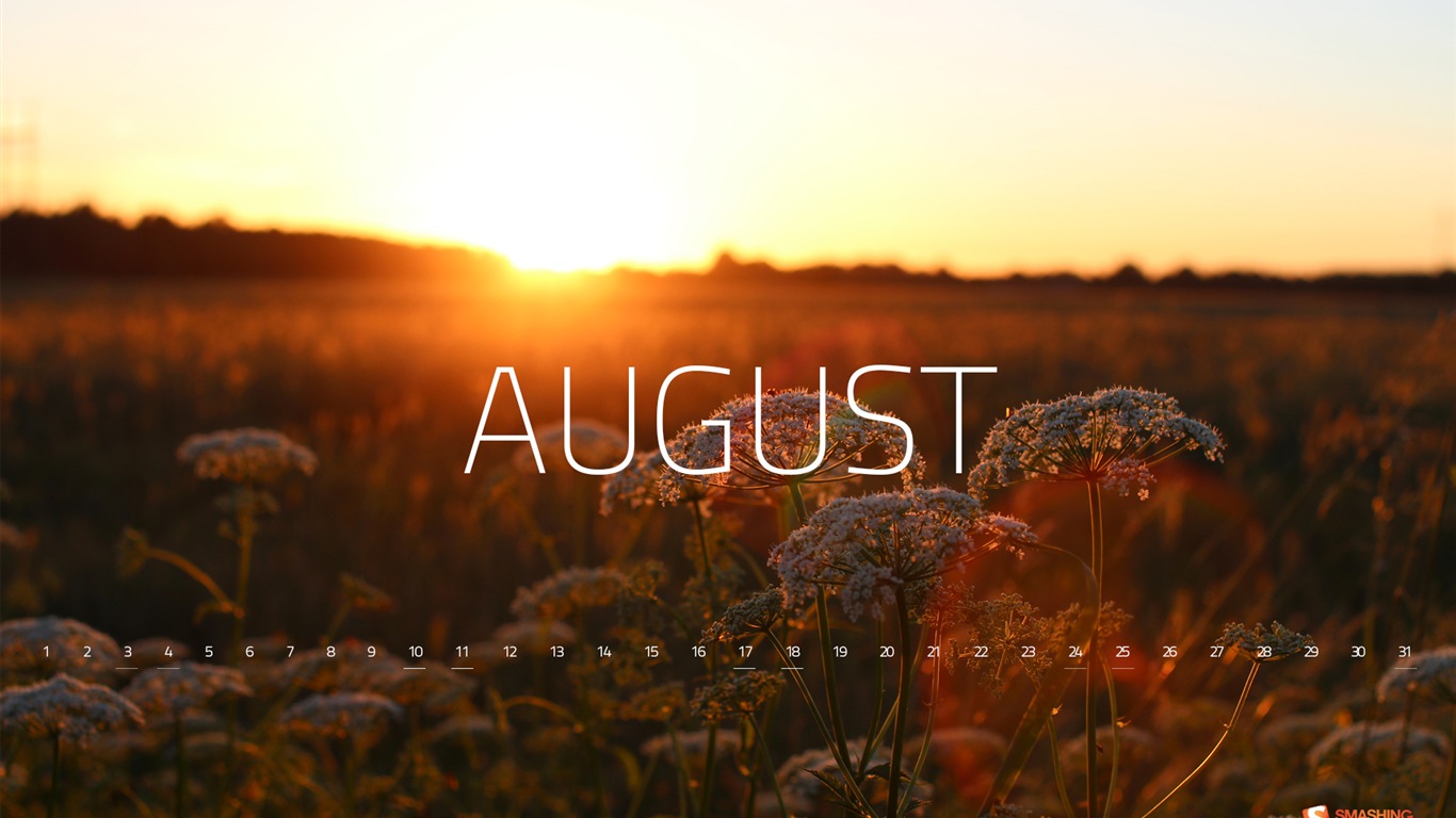 2013年8月 月曆壁紙(二) #2 - 1366x768