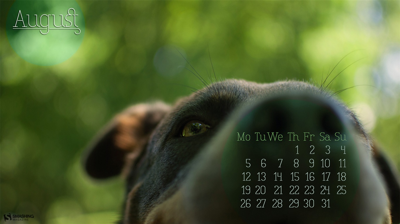 2013年8月 月曆壁紙(二) #15 - 1366x768
