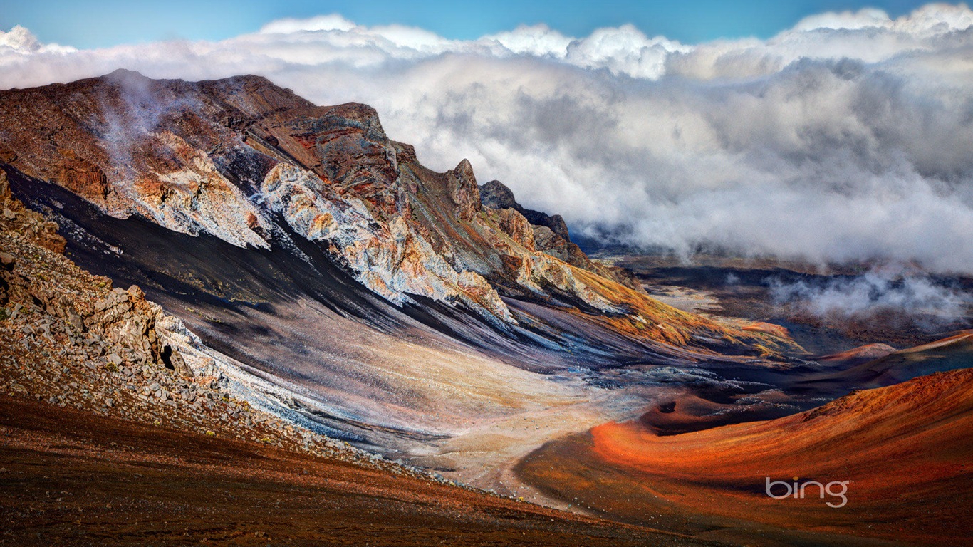 2013 Bing animaux officielles et fonds d'écran HD de paysage #1 - 1366x768