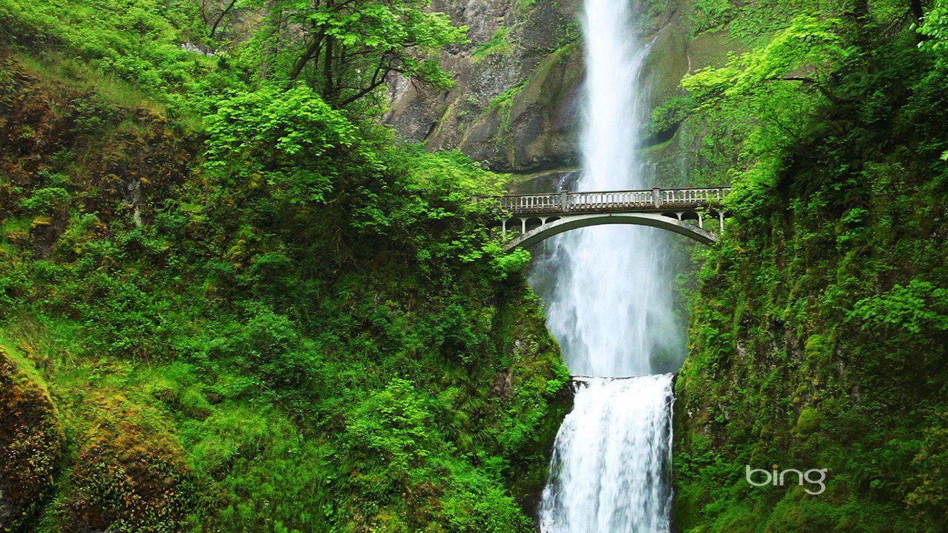 2013 Bing 必應官方動物和風景高清壁紙 #7 - 1366x768