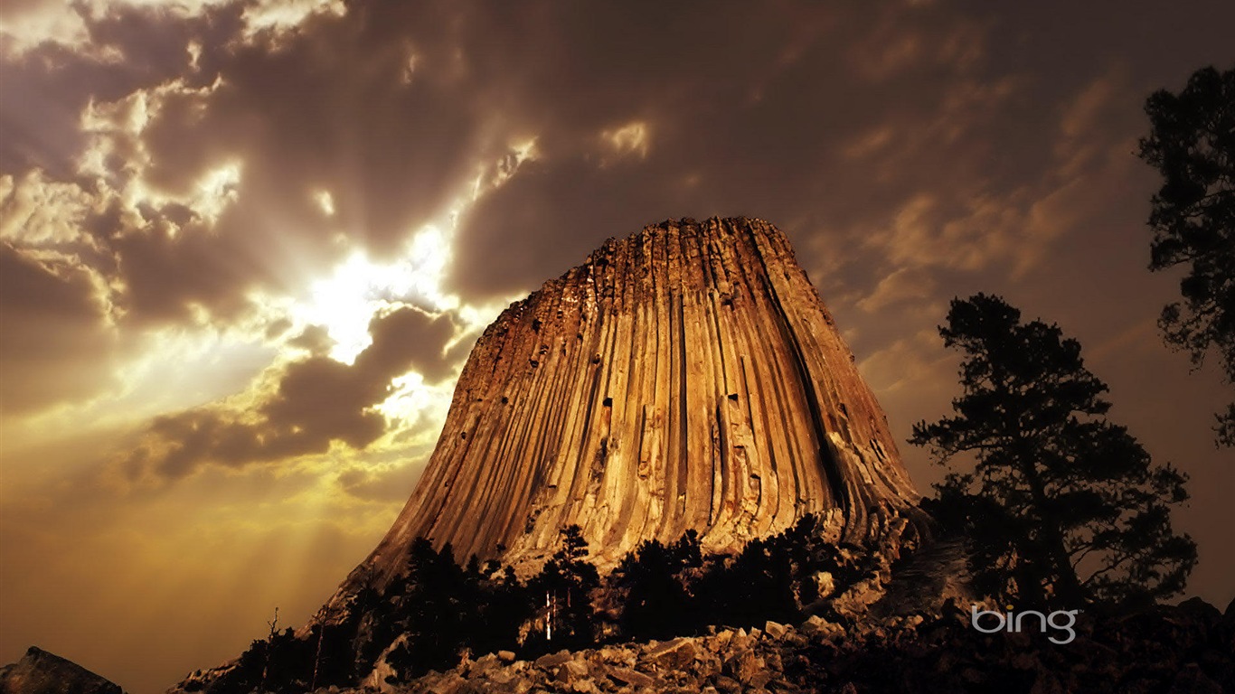 2013 Bing oficiální zvířata a krajiny HD Tapety na plochu #9 - 1366x768