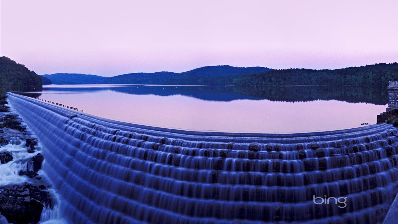 2013 Bing 必應官方動物和風景高清壁紙 #16 - 1366x768