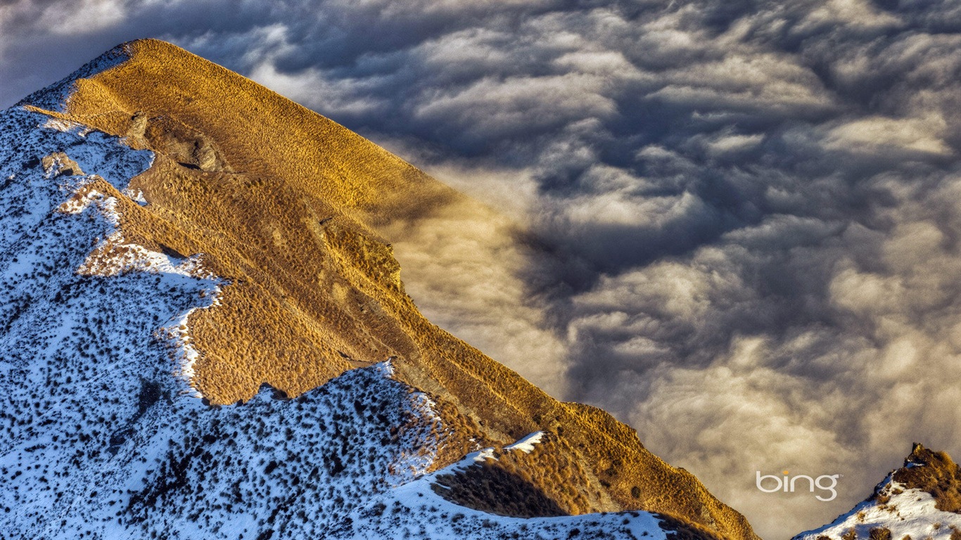 2013 Bing 必應官方動物和風景高清壁紙 #18 - 1366x768