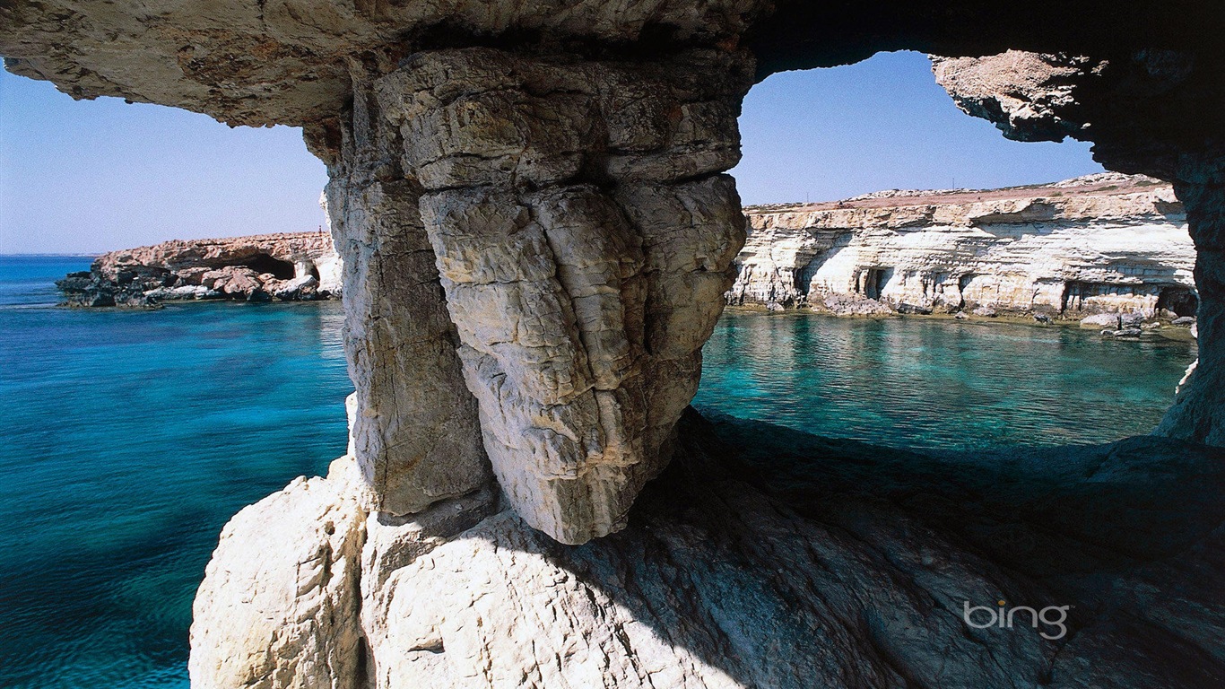 2013 Bing animaux officielles et fonds d'écran HD de paysage #22 - 1366x768