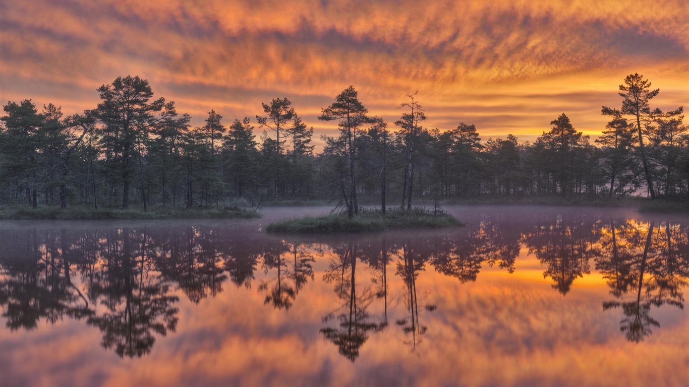 Schweden Jahreszeiten natürliche Schönheit HD Wallpaper #11 - 1366x768
