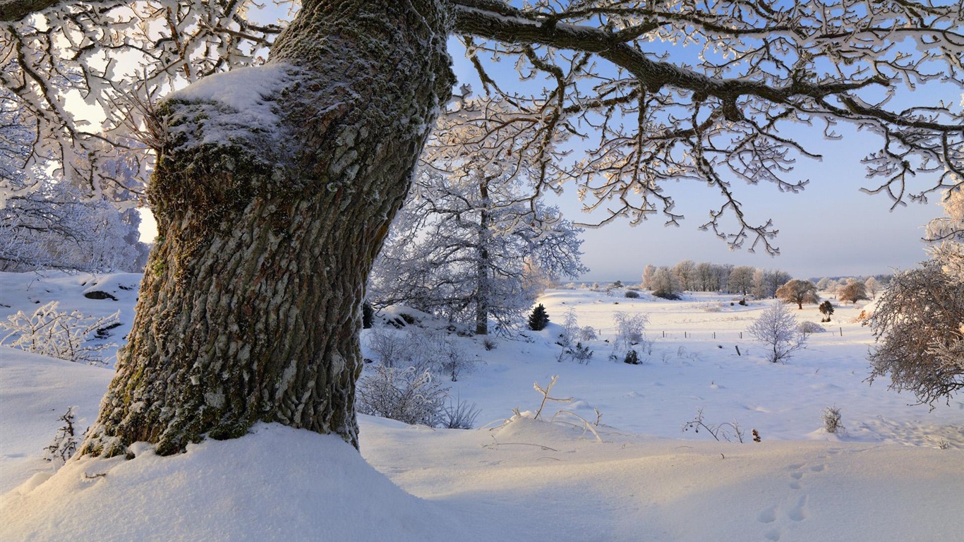 瑞典四季自然美景 高清壁紙 #13 - 1366x768