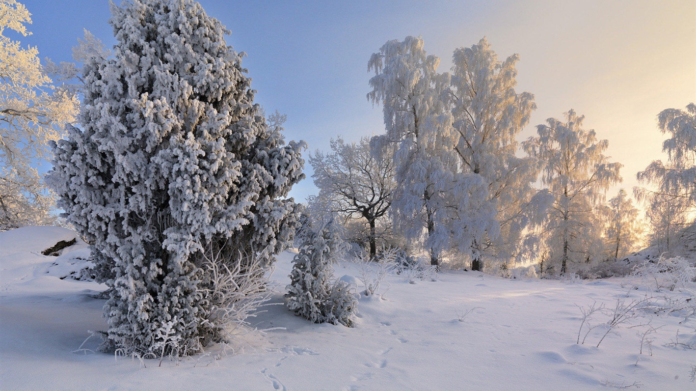 Sweden seasons natural beauty HD wallpapers #19 - 1366x768