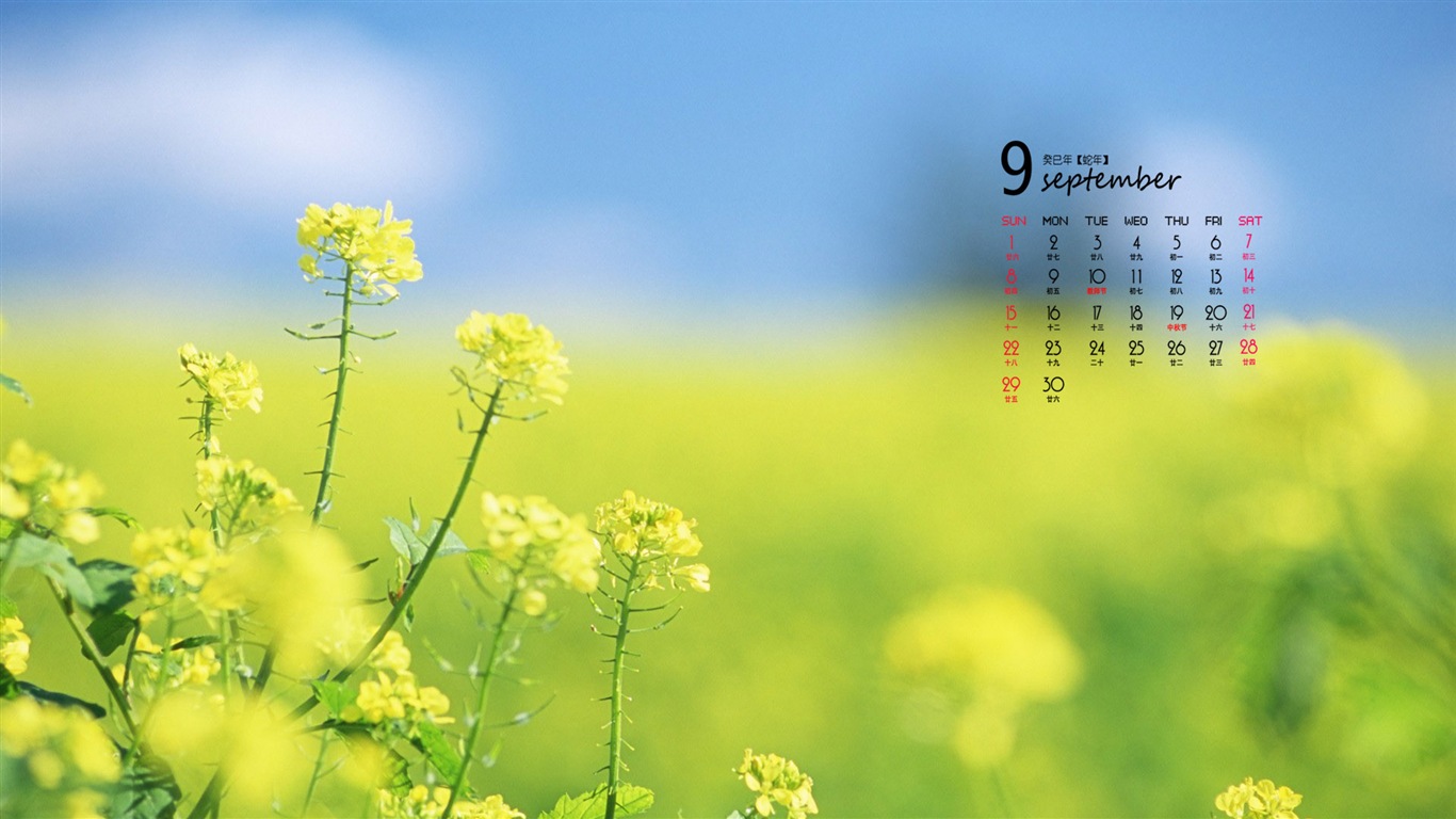 September 2013 Kalender Wallpaper (1) #4 - 1366x768