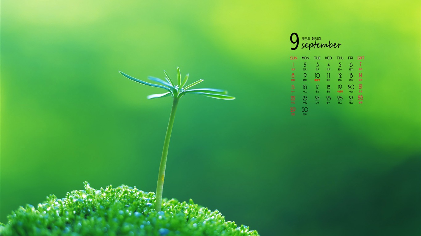 2013年9月 月曆壁紙(一) #5 - 1366x768