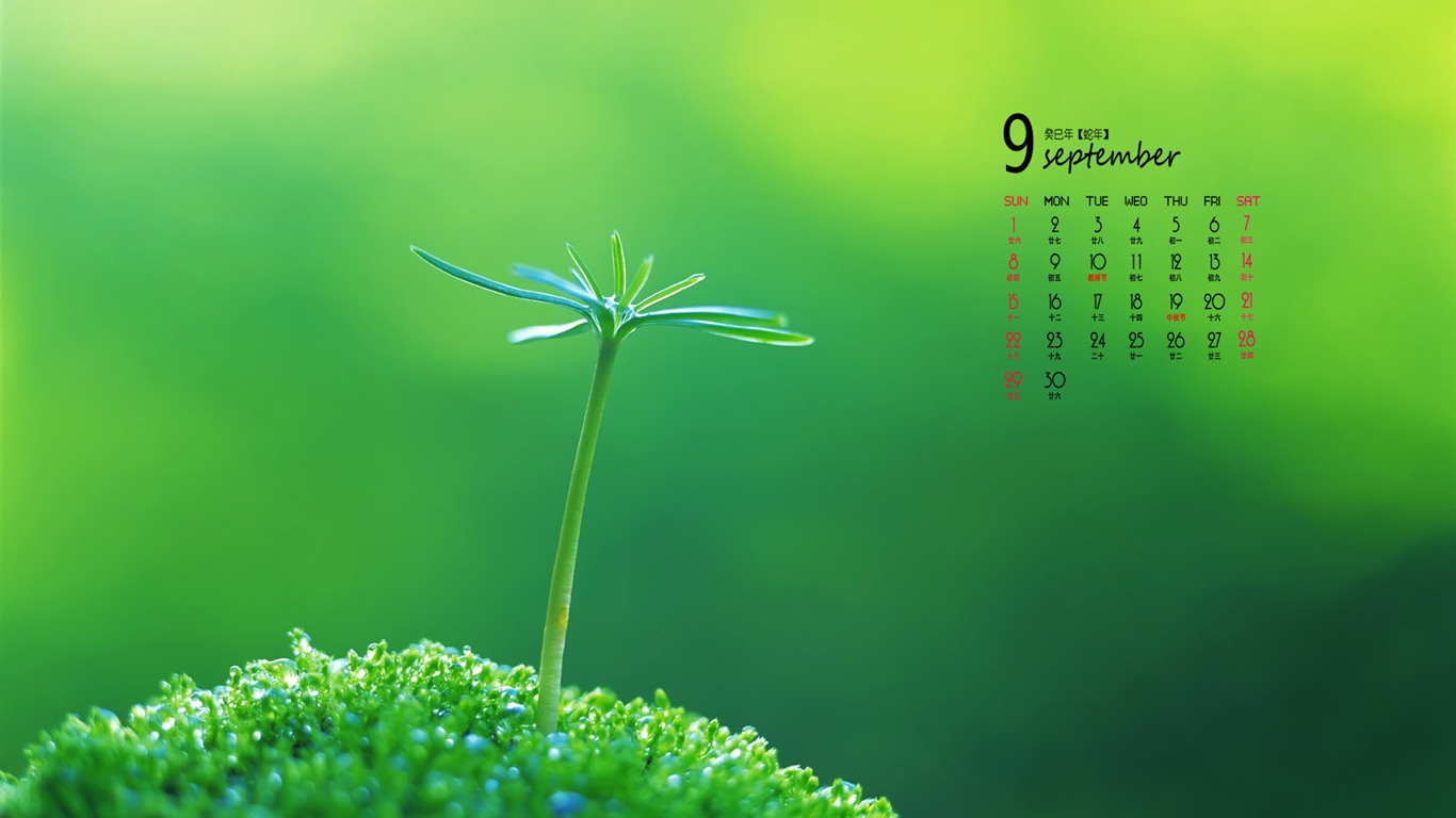 September 2013 Kalender Wallpaper (1) #5 - 1366x768