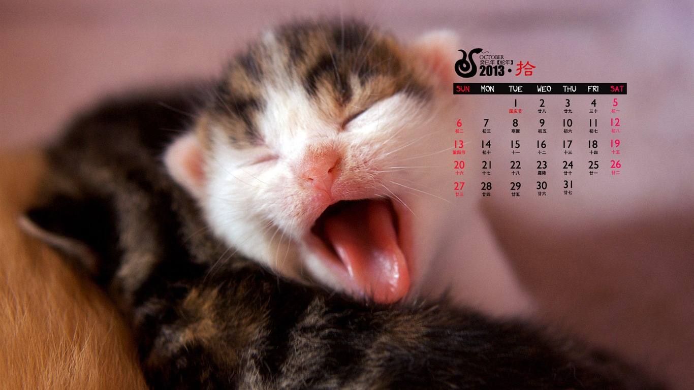 2013年10月 月曆壁紙(一) #9 - 1366x768