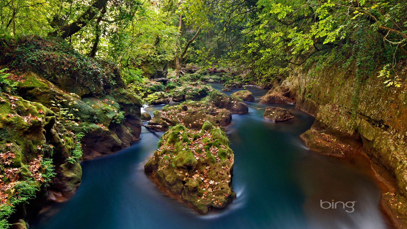 2013 Bing podzimní krajiny, zvířata, tapety HD městské #2 - 1366x768
