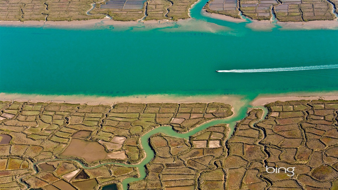 2013 Bing 必應秋季風景、動物、城市高清壁紙 #17 - 1366x768