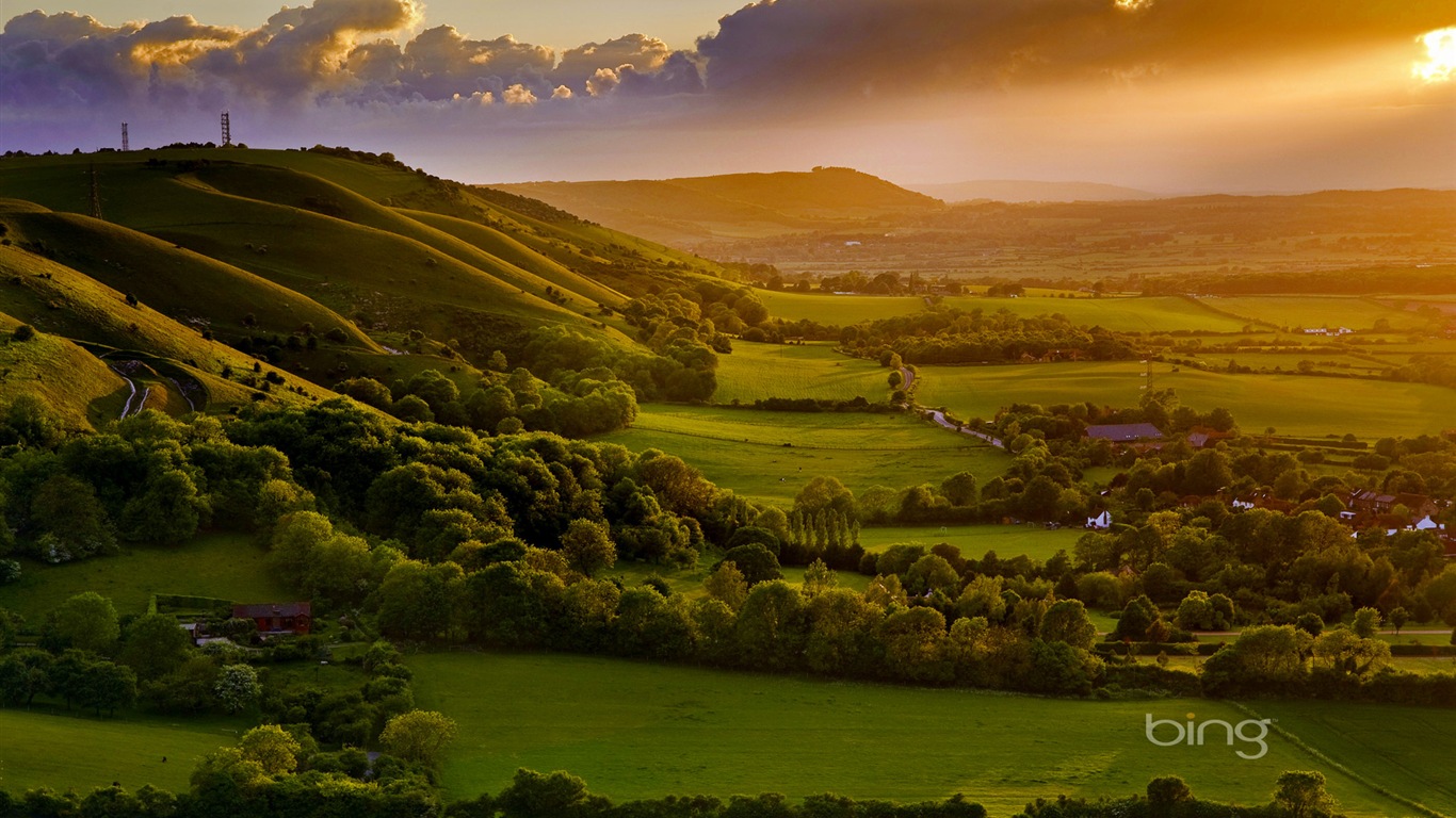 2013 Bing 必应秋季风景、动物、城市高清壁纸18 - 1366x768