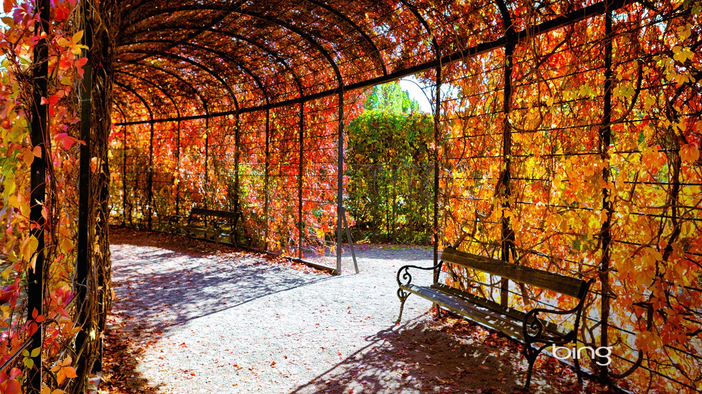2013 Bing paysages automne, animaux, fonds d'écran HD urbaines #23 - 1366x768