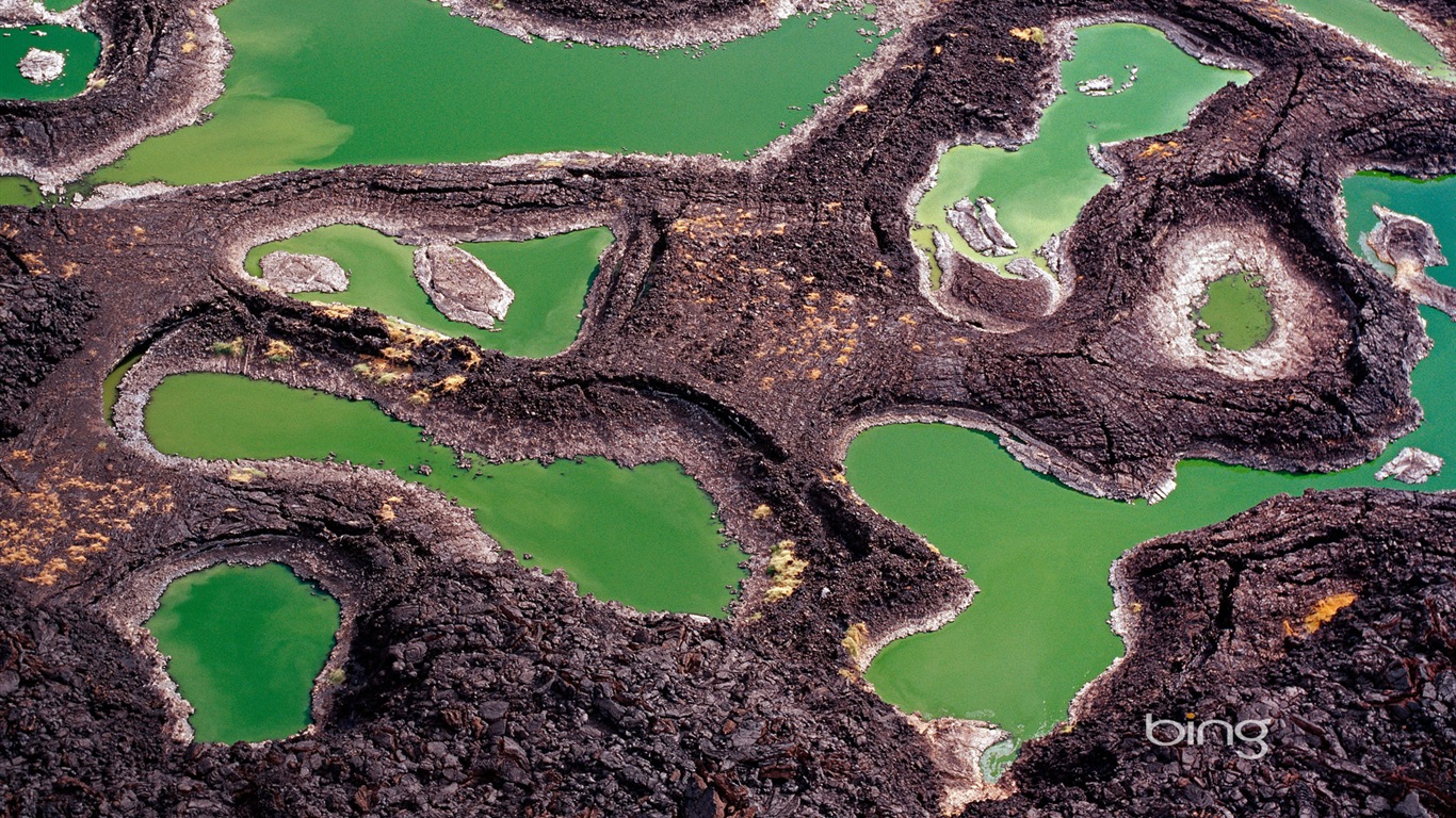 2013 Bing 必应秋季风景、动物、城市高清壁纸26 - 1366x768