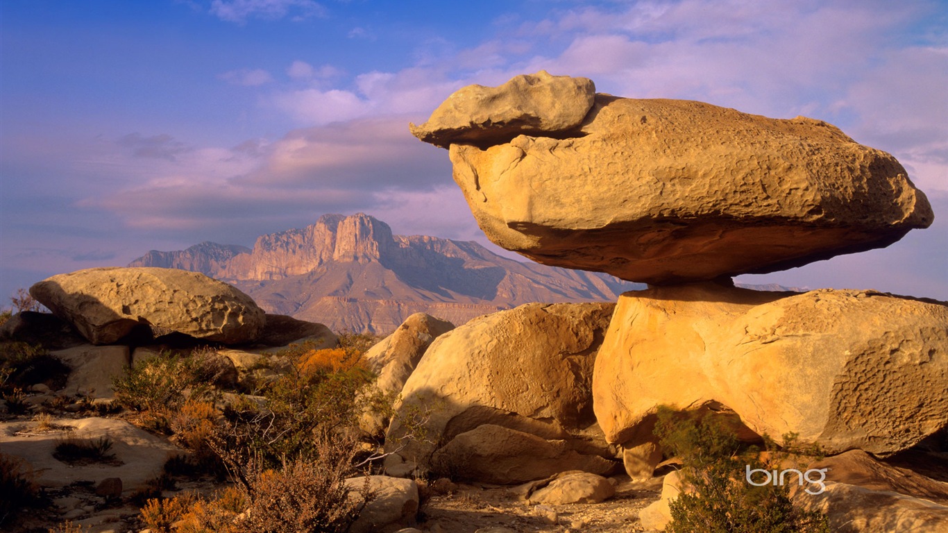 2013 Bing 必应秋季风景、动物、城市高清壁纸29 - 1366x768