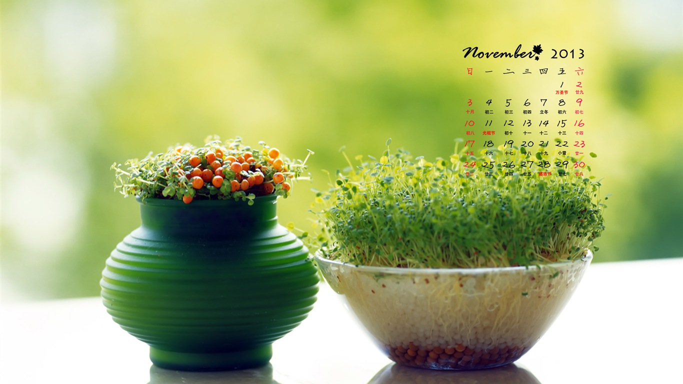 2013年11月 月曆壁紙(一) #8 - 1366x768