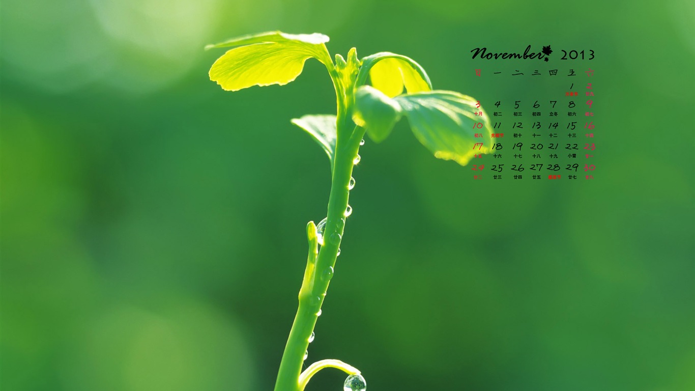 November 2013 Calendar wallpaper (1) #9 - 1366x768