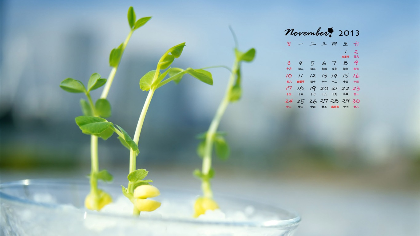 November 2013 Calendar wallpaper (1) #10 - 1366x768