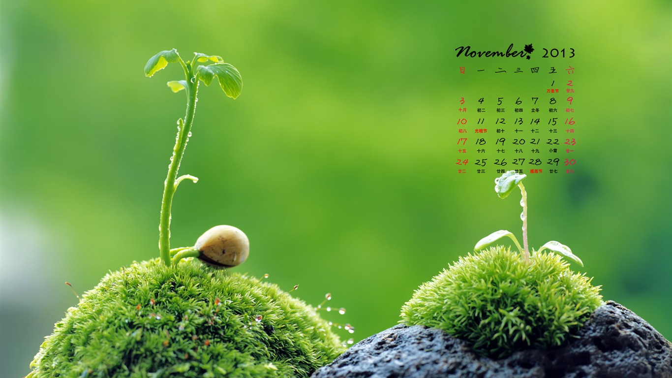 2013年11月 月曆壁紙(一) #11 - 1366x768