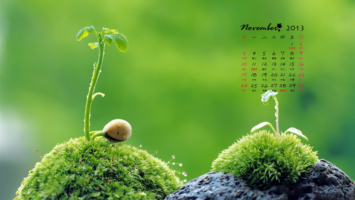 November 2013 Calendar wallpaper (1) #11 - 1366x768