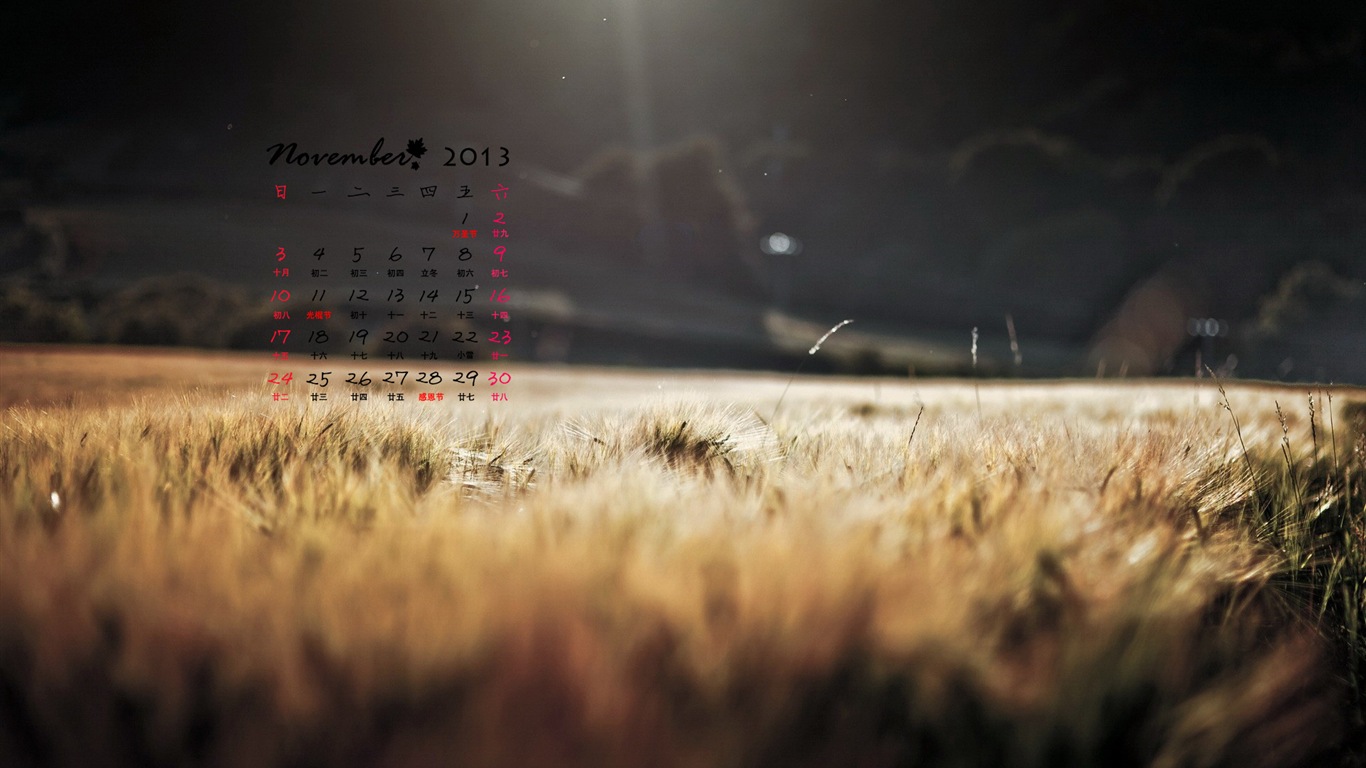 November 2013 Calendar wallpaper (1) #12 - 1366x768