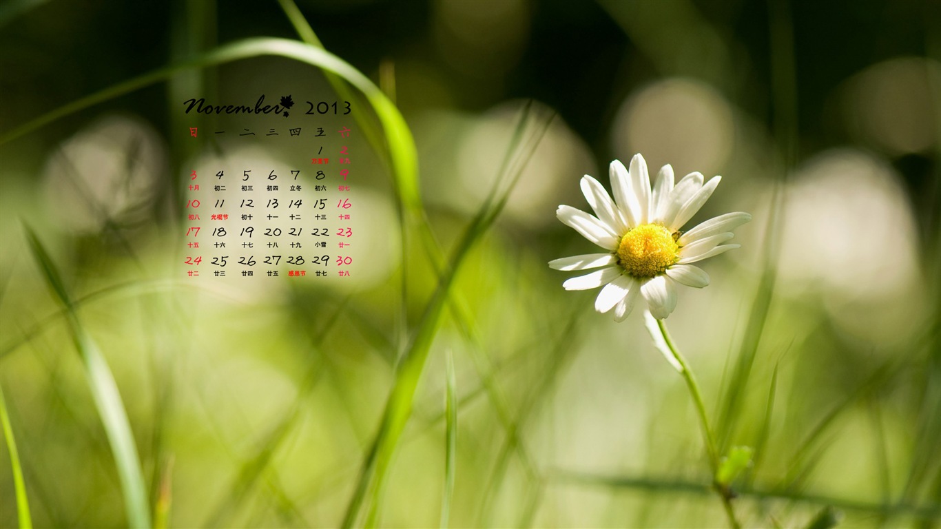 November 2013 Calendar wallpaper (1) #14 - 1366x768