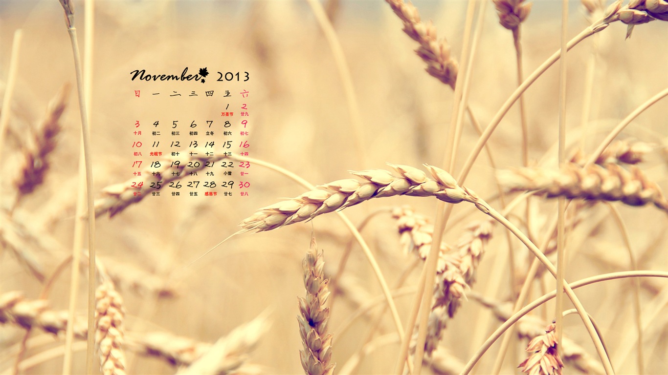 November 2013 Calendar wallpaper (1) #16 - 1366x768