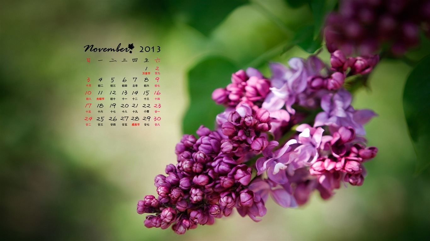 November 2013 Calendar wallpaper (1) #18 - 1366x768