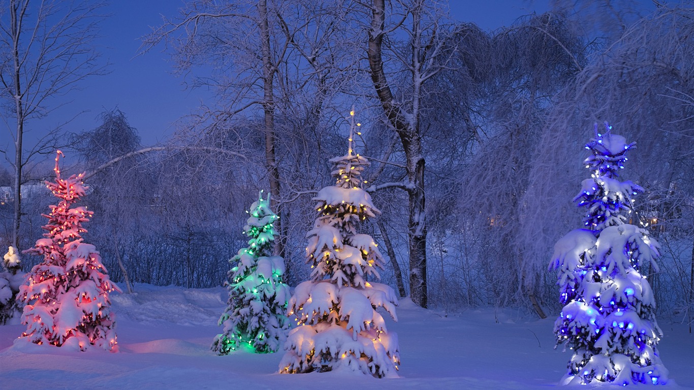 Windows 8 Theme HD Wallpapers: Winter snow night #8 - 1366x768