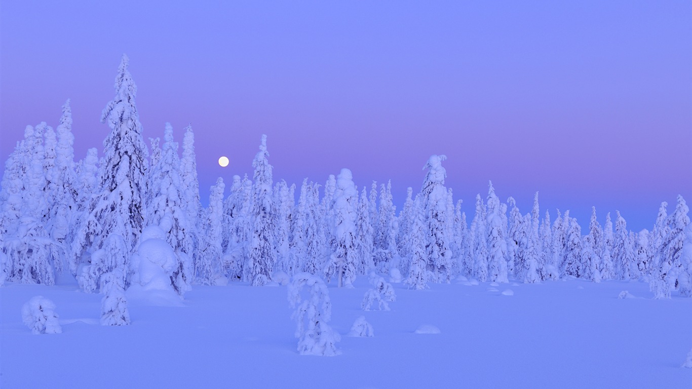 Windows 8 主題高清壁紙：冬季雪的夜景 #12 - 1366x768