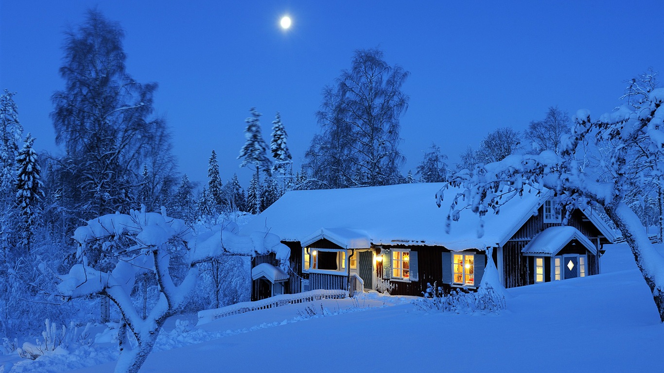 Windows 8 主题高清壁纸：冬季雪的夜景13 - 1366x768