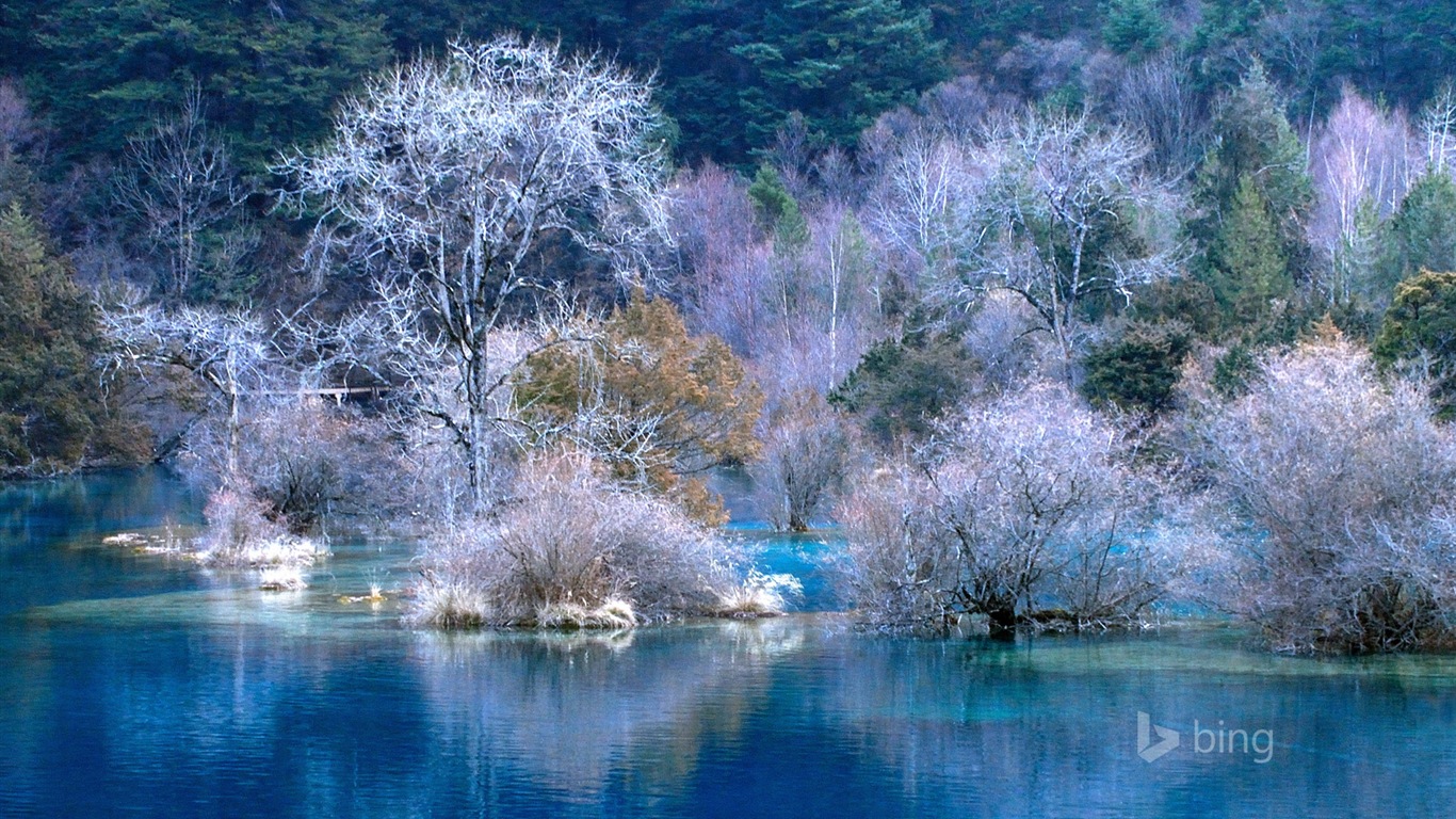 微软bing 11月份精美高清壁纸12 - 1366x768