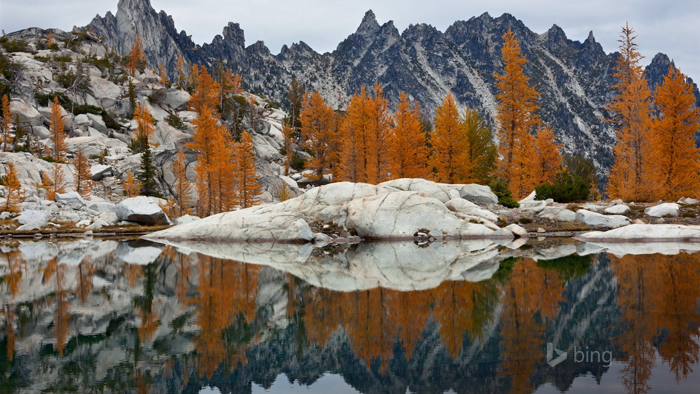 Microsoft Bing noviembre fondos de pantalla de alta definición exquisita #18 - 1366x768