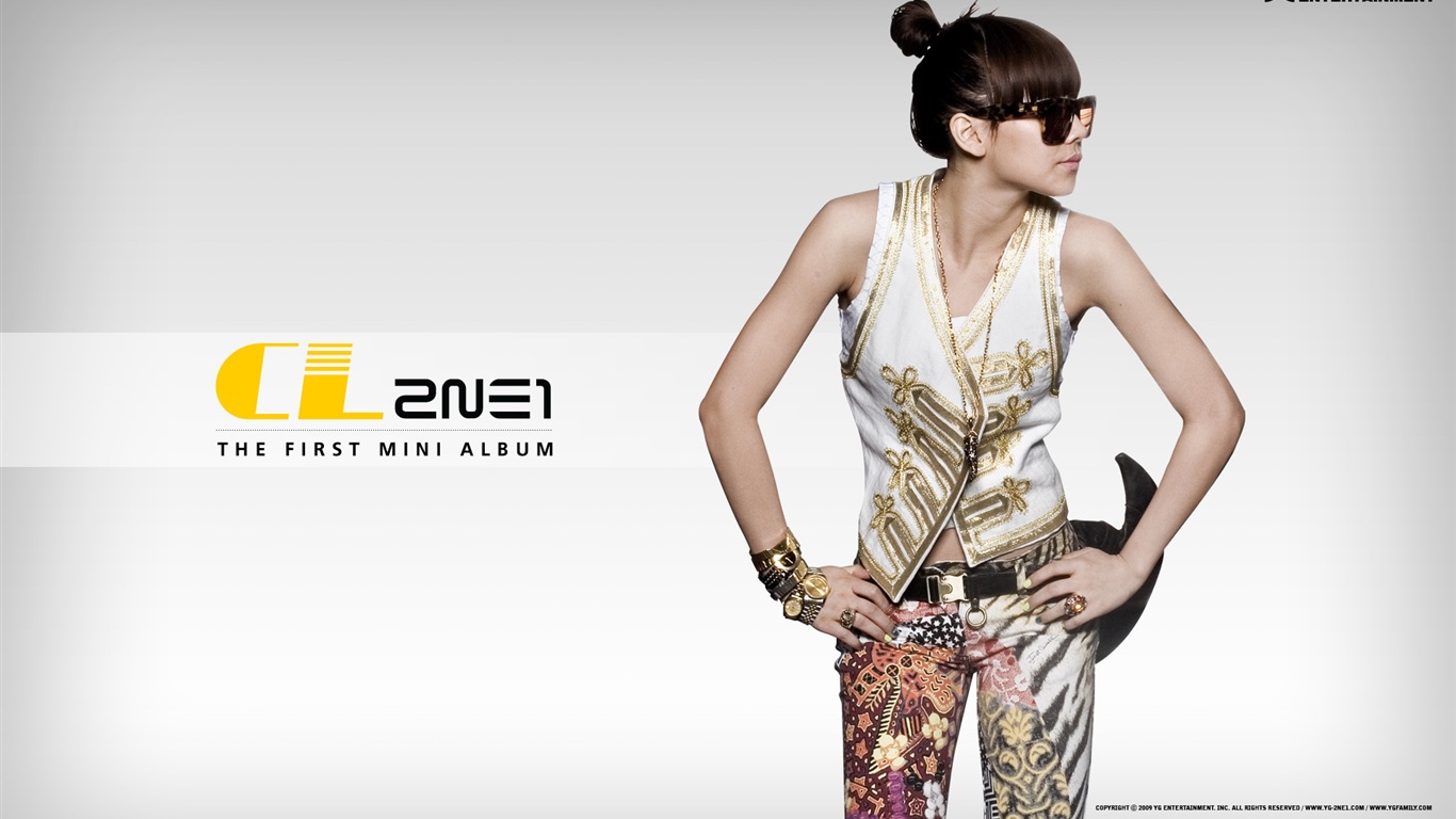 Korean music girls skupina 2NE1 HD tapety na plochu #3 - 1366x768