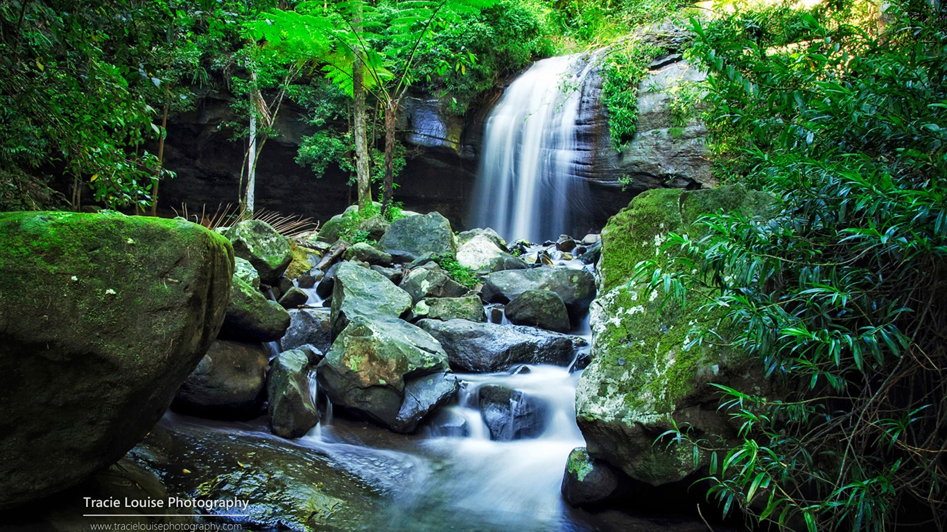 澳大利亚昆士兰州，风景秀丽，Windows 8 主题高清壁纸9 - 1366x768